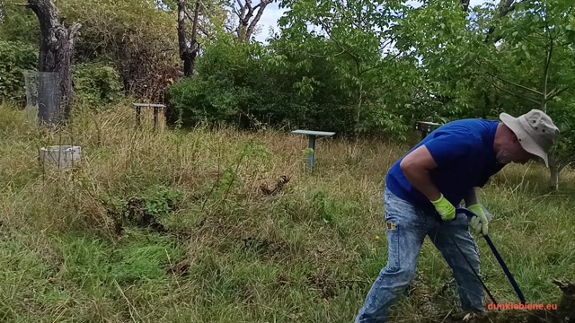 Thumbnail: Aus dem Bienengarten Teil 3