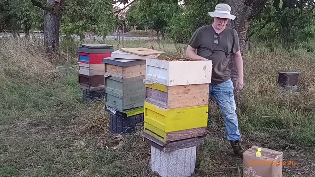 Thumbnail: Aus dem Bienengarten Teil 1