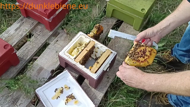 Thumbnail: Spätsommerpflege Teil 1