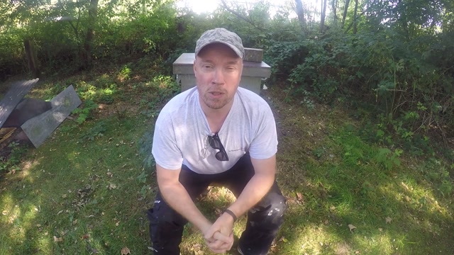 Thumbnail: Dunkle Biene hält Einzug